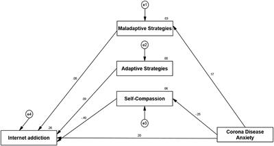 Investigating Anxiety and Fear of COVID-19 as Predictors of Internet Addiction With the Mediating Role of Self-Compassion and Cognitive Emotion Regulation